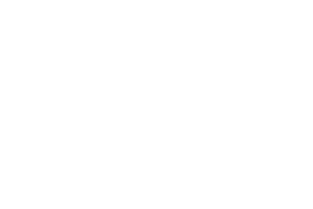 FLYTORIDE